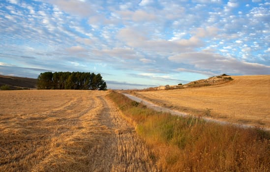 Rural scene in the spanish countryside