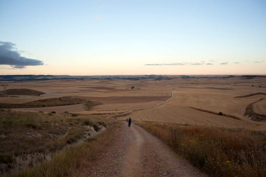 Pilgrims in the countryside, Way of St. James
