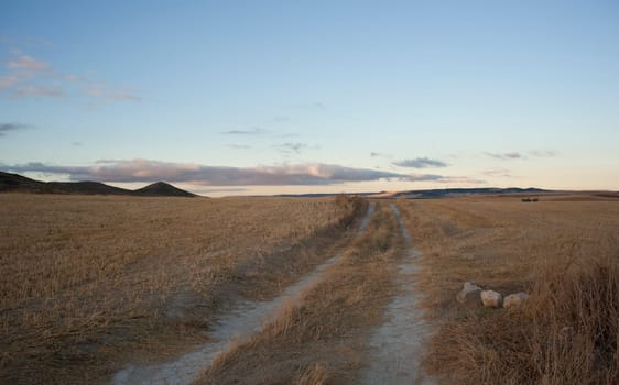 View of a Road in the Spanish countryside