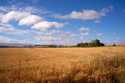 View of Spanish countryside in the summer