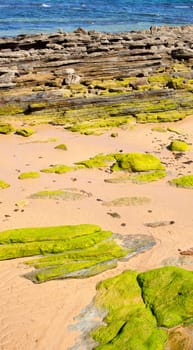 View of Santander beach, Spain