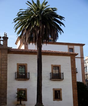 View of historic building and palm, Oviedo