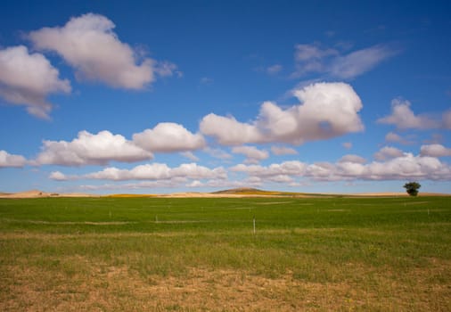 View of Spanish countryside in the summer