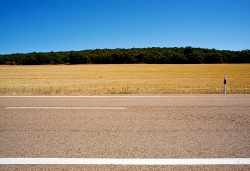 View of road in the Spanish countryside
