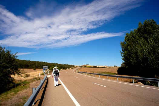 Pilgrim on the Road, Way of St. James