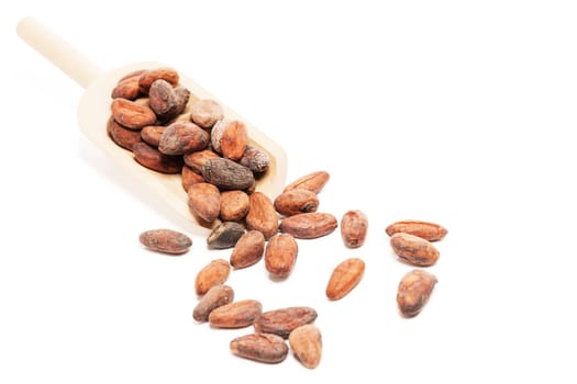 Raw chocolate beans with a wooden spoon on white background