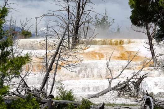 Mammoth Hot Springs in Yellowstone National Park in Wyoming in the United States of America