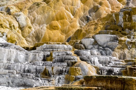 Mammoth Hot Springs in Yellowstone National Park in Wyoming in the United States of America