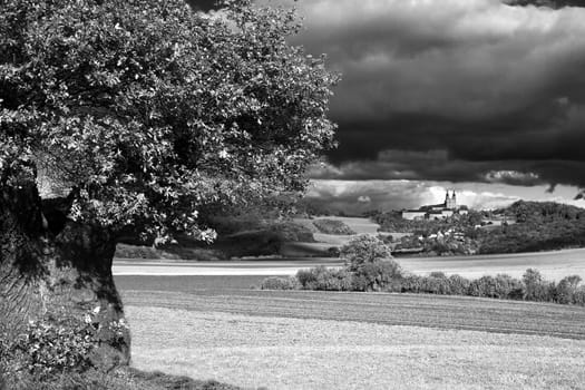 The tree at Banz Monastery