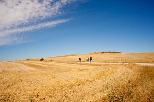 Pilgrims, way of St. James in Spain
