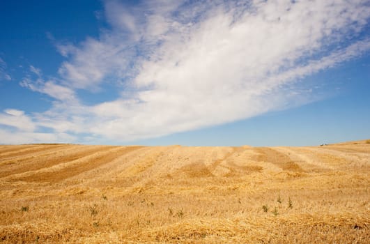 View of Spanish countryside