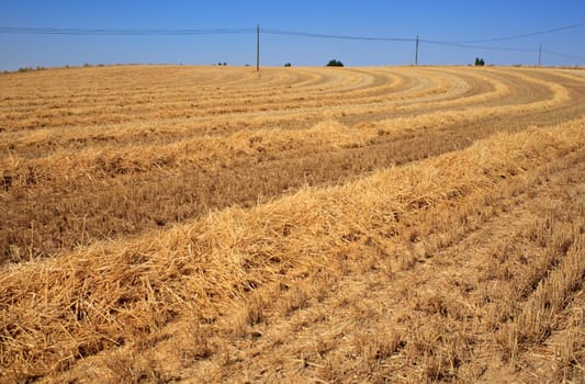 View of Spanish countryside