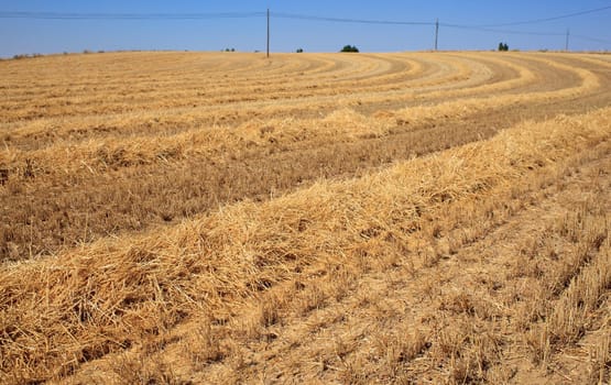 View of Spanish countryside
