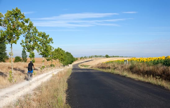 Road next to sunflowers field