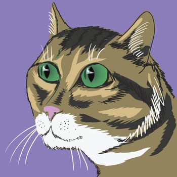 colorful illustration with cat for your design
