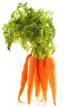 Fresh carrots bunch isolated on whiet background
