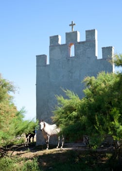 White horse next to the church