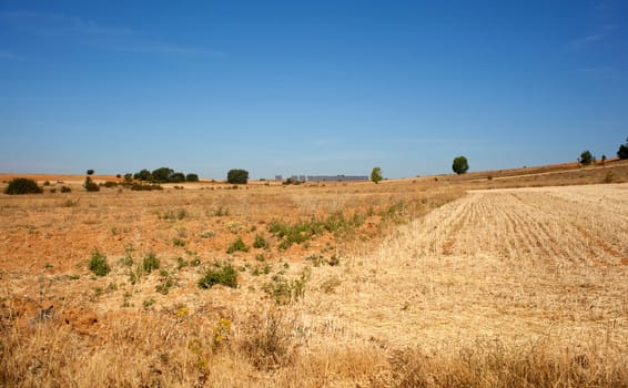 View of a field in Spain