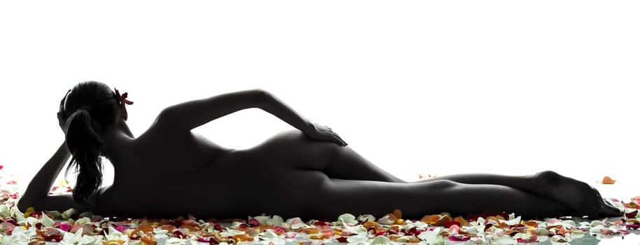 rear view of  one beautiful asian woman naked  with petal flowers  in silhouette studio isolated on white background