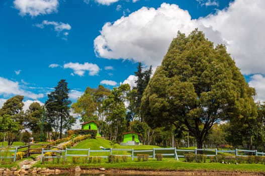 Beautiful view of a scenic green park