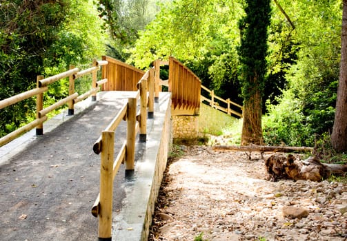 Wood bridge in the forest