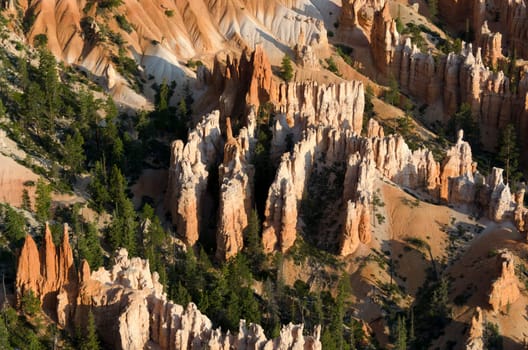 Bryce Canyon National Park in Utah in the United States of America