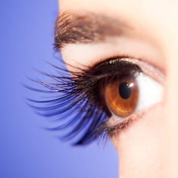 Eye of a young woman with long eyelashes,close up