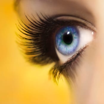 Eye of a young woman with long eyelashes