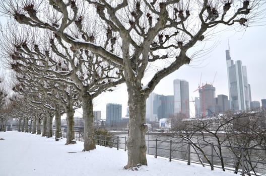 Frankfurt in the snow