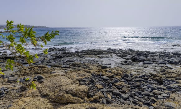Sea