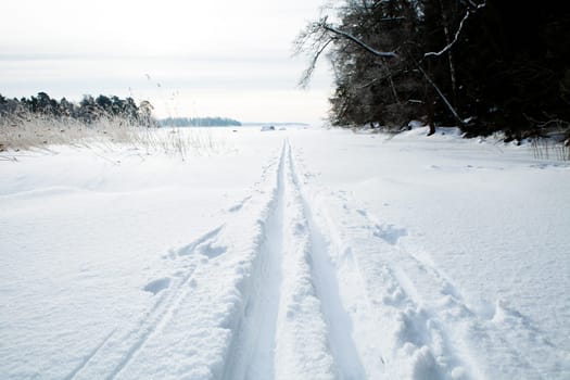 Winter landscape with cross-country skiing tracks in snow on overcast day