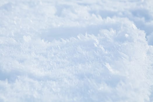 Closeup of delicate icy snow crystals outdoors in winter