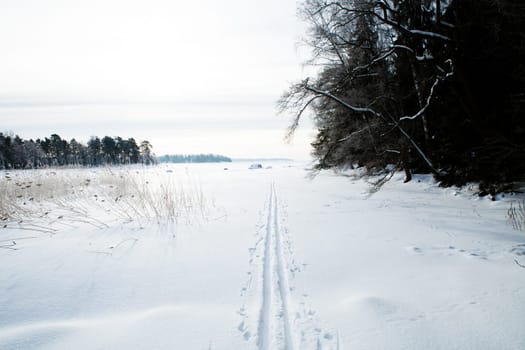 Winter landscape with cross-country skiing tracks in snow on overcast day