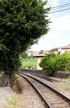 Tree next to the railroad tracks