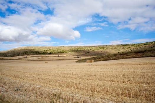 Rural scene in the countryside - Way of St. James