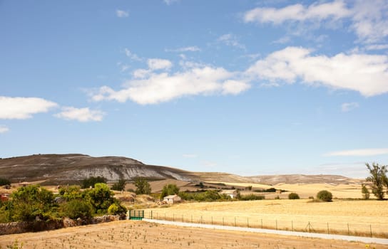 Rural scene in the countryside - Way of St. James