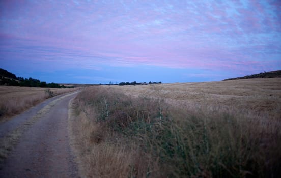 Sunrise in the rural scene in the spanish countryside, Spain