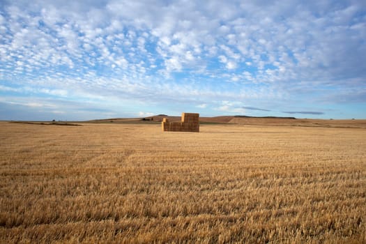 Bales of hay in the countryside - Way of St. James
