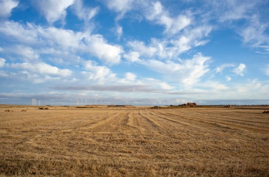 Rural scene in the countryside - Way of St. James