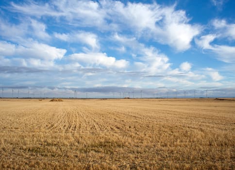 Rural scene in the countryside - Way of St. James
