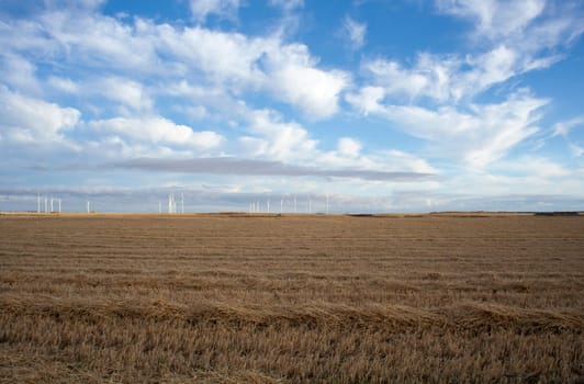 Rural scene in the countryside - Way of St. James