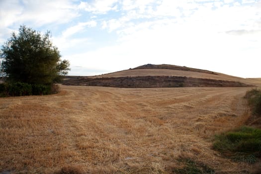 Rural scene in the countryside - Way of St. James