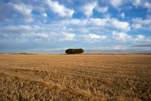 Bales of hay in the countryside - Way of St. James
