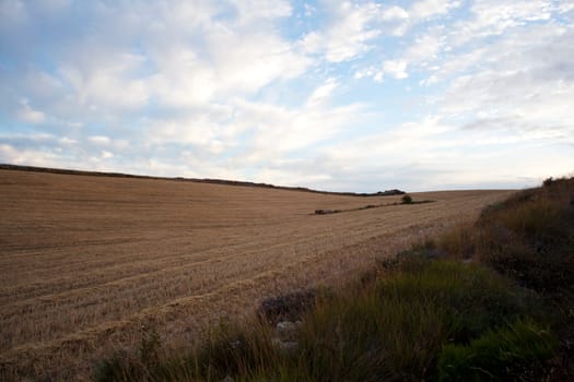 Rural scene in the countryside - Way of St. James