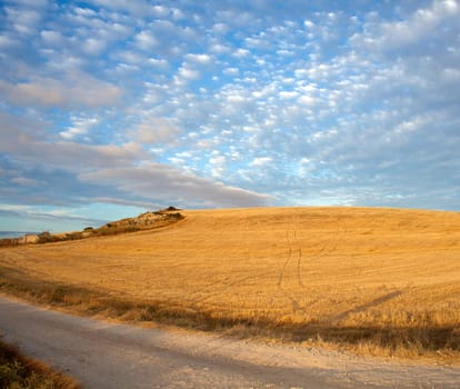 Road in the countryside - Way of St. James, Spain