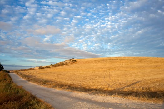 Road in the countryside - Way of St. James, Spain