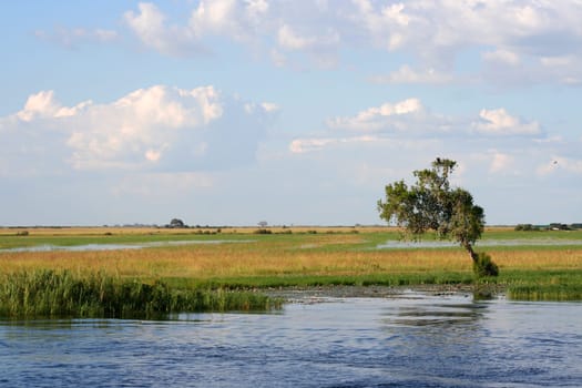 river zambesi