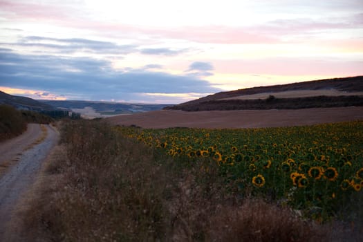 Sunrise in the rural scene in the spanish countryside, Spain