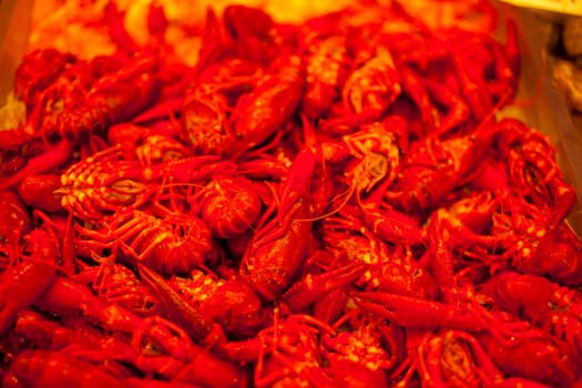 A lot of fresh shrimps