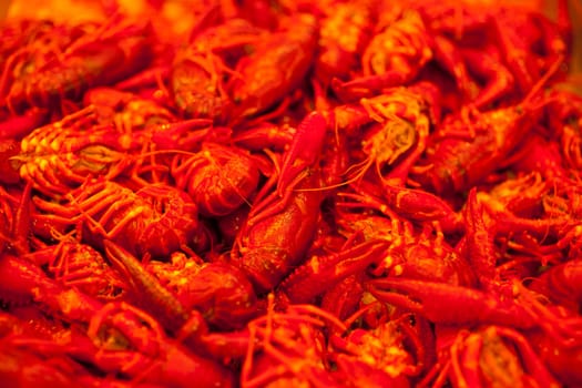 A lot of fresh shrimps